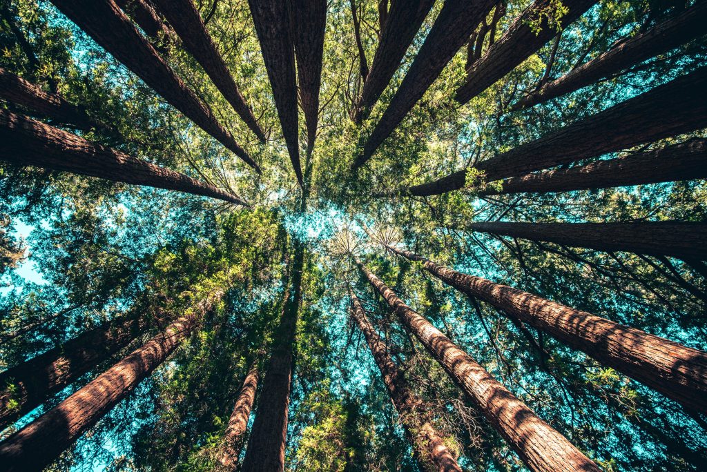 LPR team implementing CSRD-compliant sustainability reporting in logistics