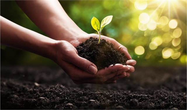 SUPPORTING REFORESTATION-1